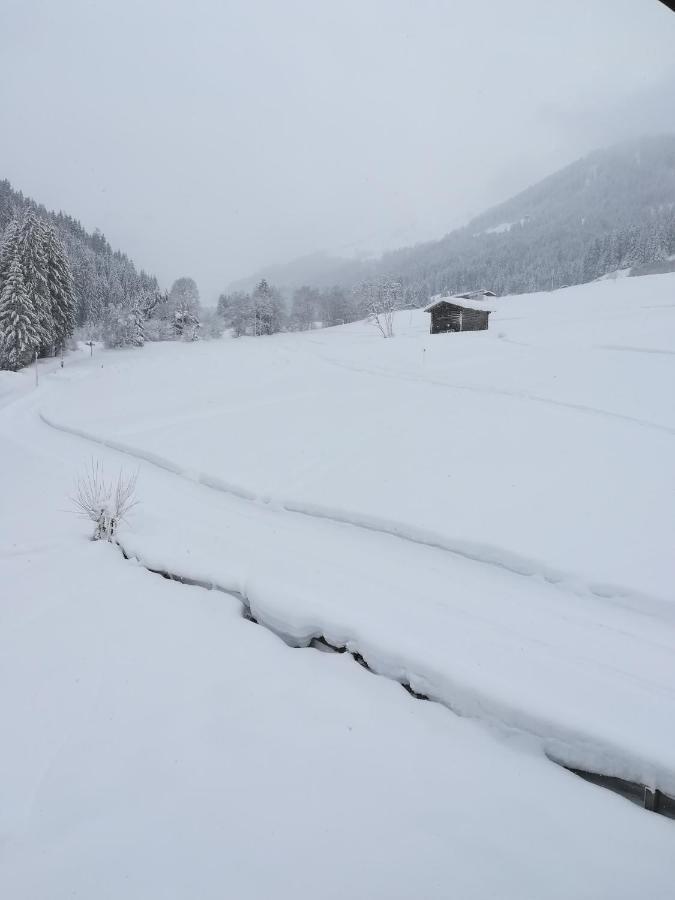 Appartement Hacklstoana à Alpbach Extérieur photo